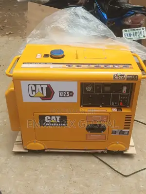 Diesel Sound Proof Generator Cat