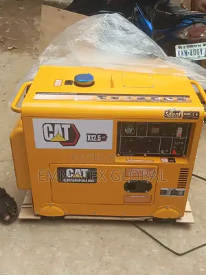 Sound Proof Cat Diesel Generator