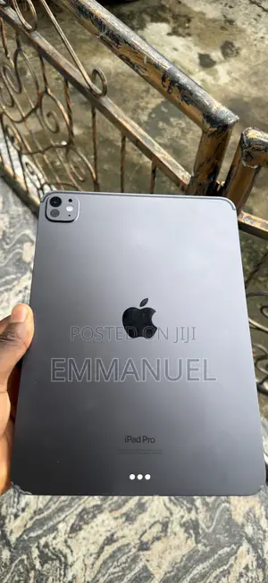 Apple iPad Pro 256 GB Gray