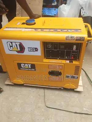 12kva Diesel Generator Cat 💯 Coil