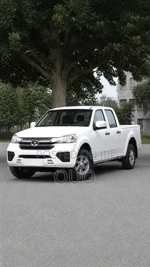 Great Wall Wingle 2023 White