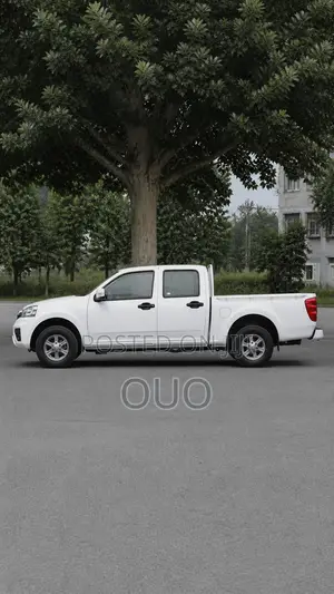 Great Wall Wingle 2023 White
