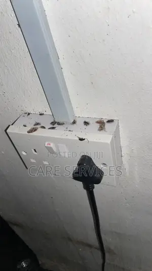 Best After Cockroaches Control Services