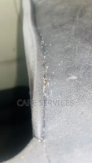Best After Cockroaches Control Services