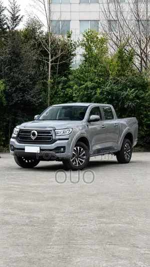 Great Wall Pao 2025 Gray