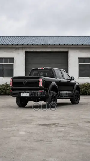 Great Wall Pao 2025 Black