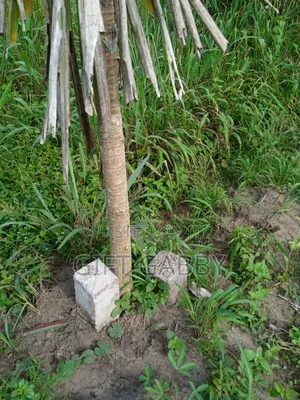 A Plot of Land Available for Sale  2.5M, Price Slightly Negotiable