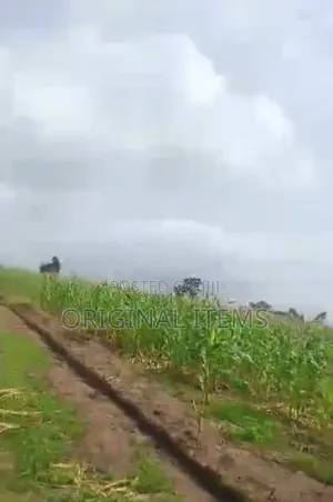 An Acre of Land for Sale