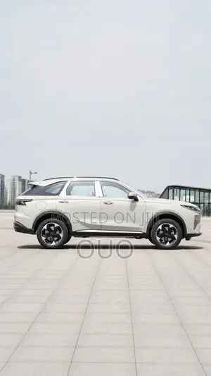 Haval Xiaolong Max 2025 Gray