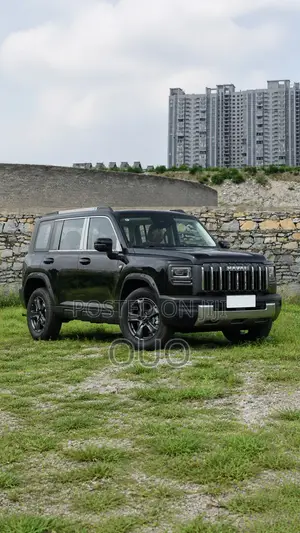 Haval Menglong 2025 Black