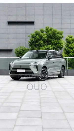 Wey Lanshan 2025 Green