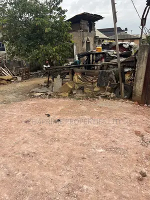 Standard Half Plot of Land 30*120