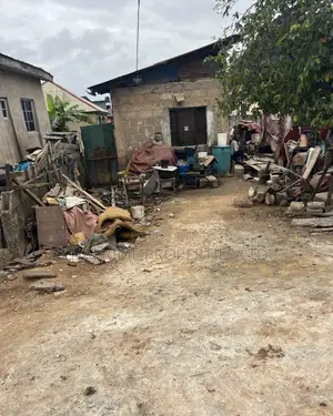 Standard Half Plot of Land 30*120