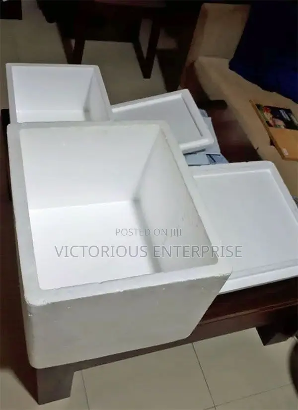 Styrofoam Cooler | Box for Protecting Fragile Items