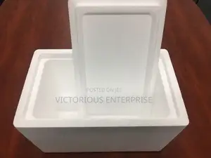 Styrofoam Cooler | Box for Protecting Fragile Items