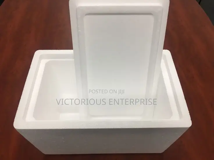 Styrofoam Cooler | Box for Protecting Fragile Items