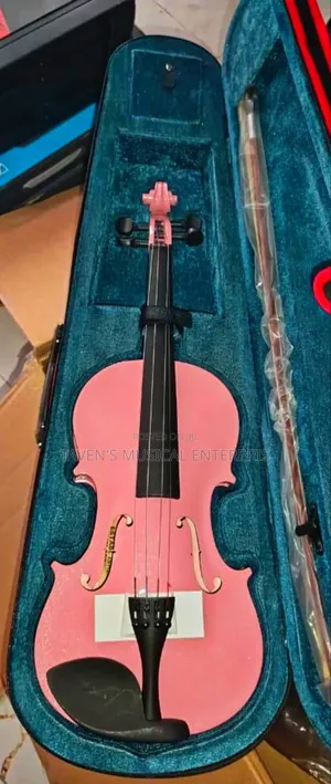 Standard Acoustic 4 String Violin