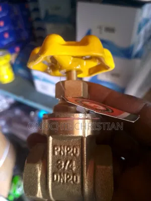 3/4 Gate Valve For