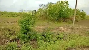 100 Acres of Land at Rounder Abeokuta