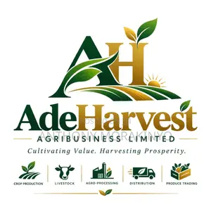 Market Development & Sales Officer
