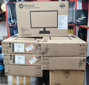 HP P22v G5 FHD Monitor