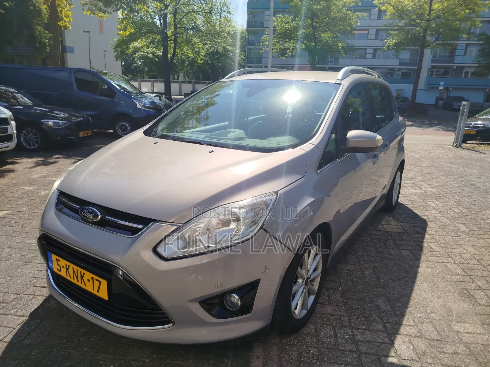Ford C-Max 2013 Gray