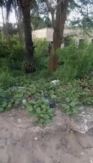 One Plot of Land at Museyo Facing Road (Eleko)
