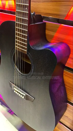 Strinberg Forest Series Electro Acoustic Guitar