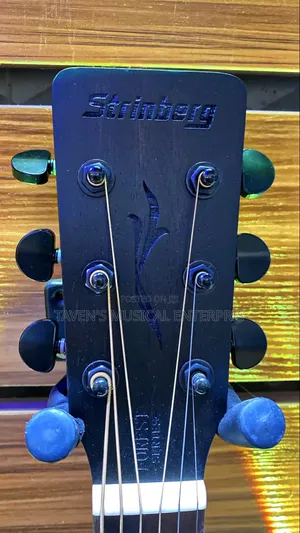 Strinberg Forest Series Electro Acoustic Guitar