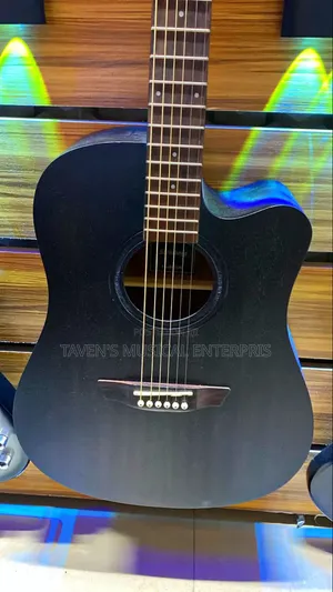 Strinberg Forest Series Electro Acoustic Guitar