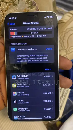 Apple iPhone 12 256 GB Gray