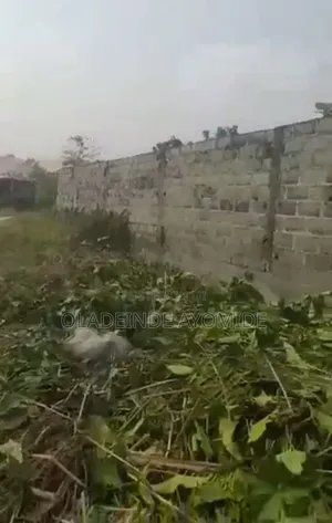 3plot and Half for Sale Location Kajola Ibeju Lekki
