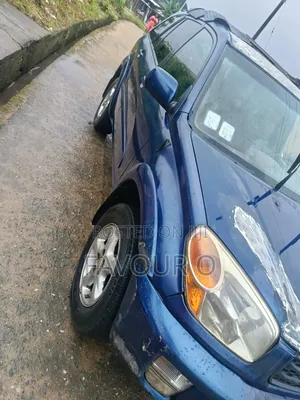 Toyota RAV4 2004 Blue