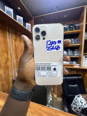 Apple iPhone 12 Pro Max 256 GB Gold