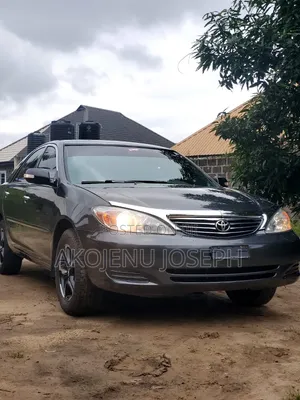 Toyota Camry LE 4dr Sedan (2.4L 4cyl 5M) 2004 Gray