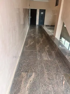 Granite Tiles (Natural Polished Stone)