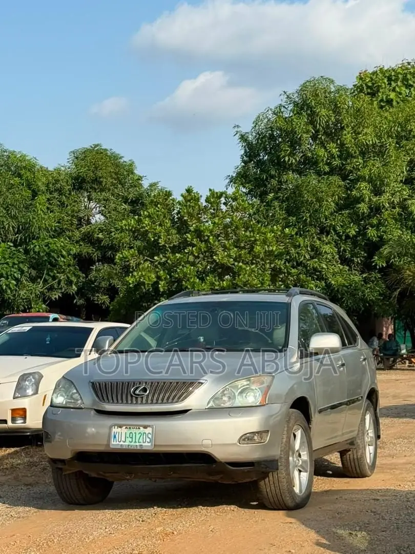 Lexus RX 330 2006 Silver