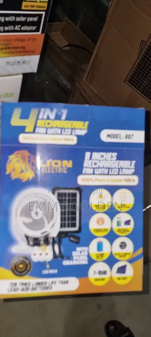 Lion 4in1 Fan