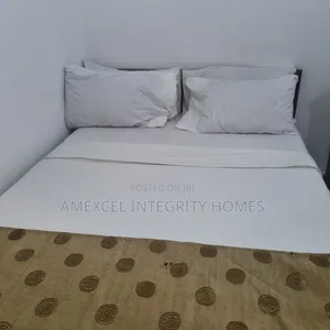 Furnished Mini Flat in Lekki Phase 1 for rent