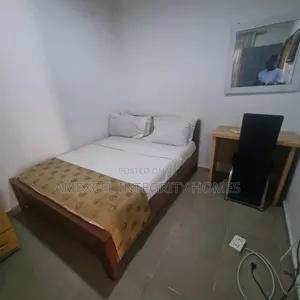 Furnished Mini Flat in Lekki Phase 1 for rent