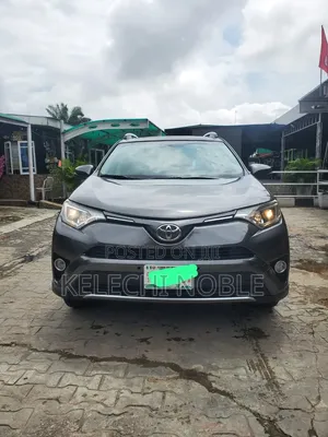 Toyota RAV4 2016 Gray