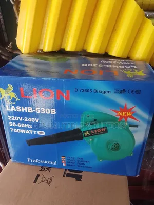 Lion Eletric Hand Blower 220v-240v