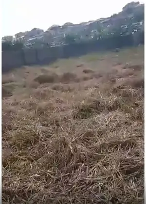 820sqm Land, Aboru, Ishola. Oko Sule