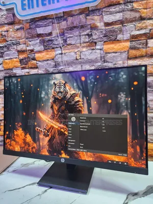HP P244 24-Inch FHD 1080p IPS Panel Led Frameless Hdmi Monitor