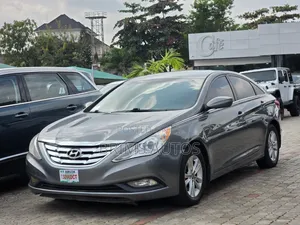 Hyundai Sonata 2013 Gray