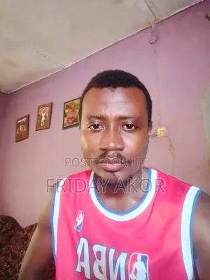 Friday Akor David