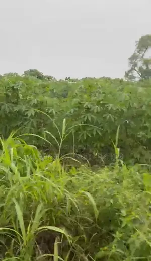One Acre, Gbodomu Village. Along Shagamu Ikorodu Road. Via NNPC.