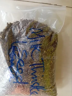 Milk Thistle Seed