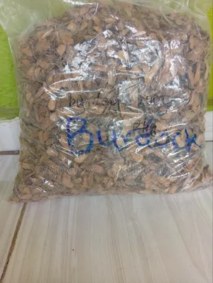 Burdock Root