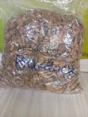 Burdock Root